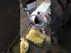 Vegetable cutter cutting potato shreds test machine video