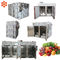 المطبخ الفولاذ المقاوم للصدأ الغذاء ديهيدراتور 60 كجم القدرات شهادة CE